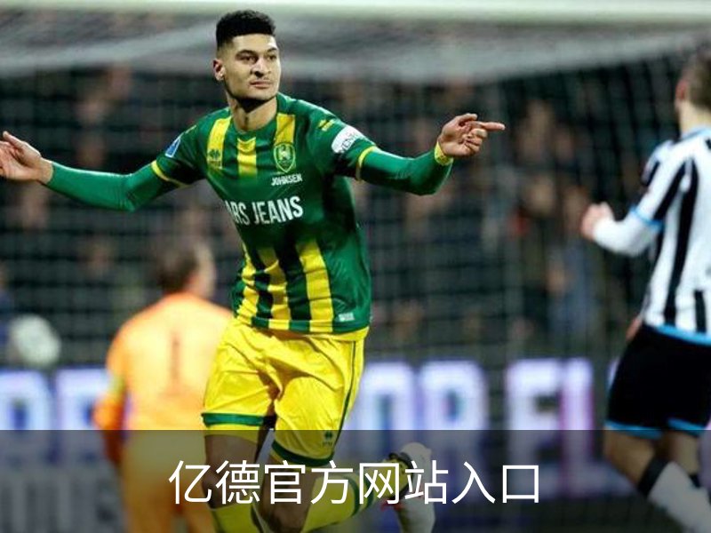 亿德官方网站入口概况